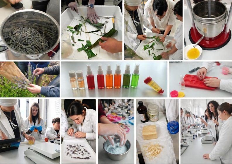 Dal campo alla pelle: quando l'agroalimentare incontra la cosmesi naturale!